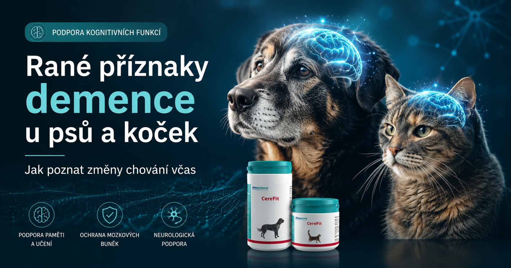 Vykazuje váš mazlíček známky rané demence?