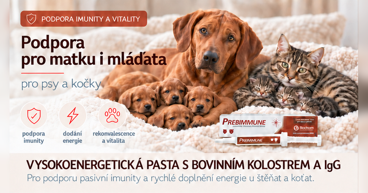 První hodiny života štěňat a koťat rozhodují. Víte, proč je kolostrum tak důležité?