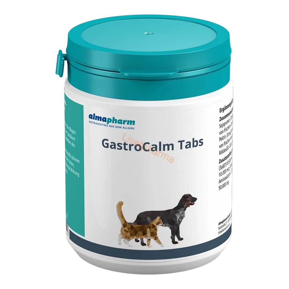 GastroCalm Tabs 120 tbl