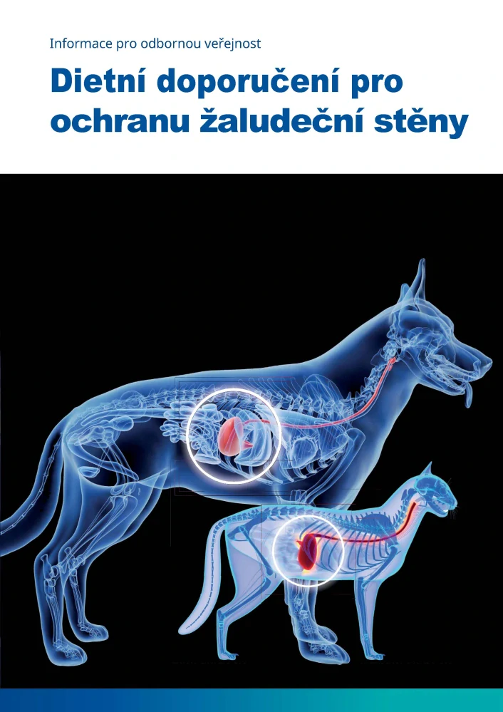 GastroCalm Tabs 20 tbl