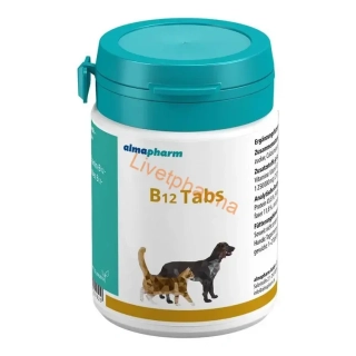 B12 Tabs 100 tbl